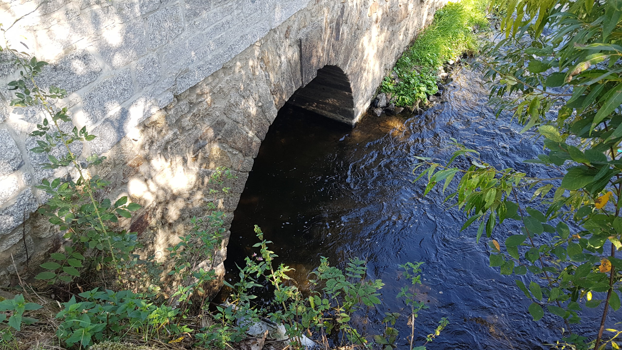 Loebauer Wasser 2018 Modellerstellung